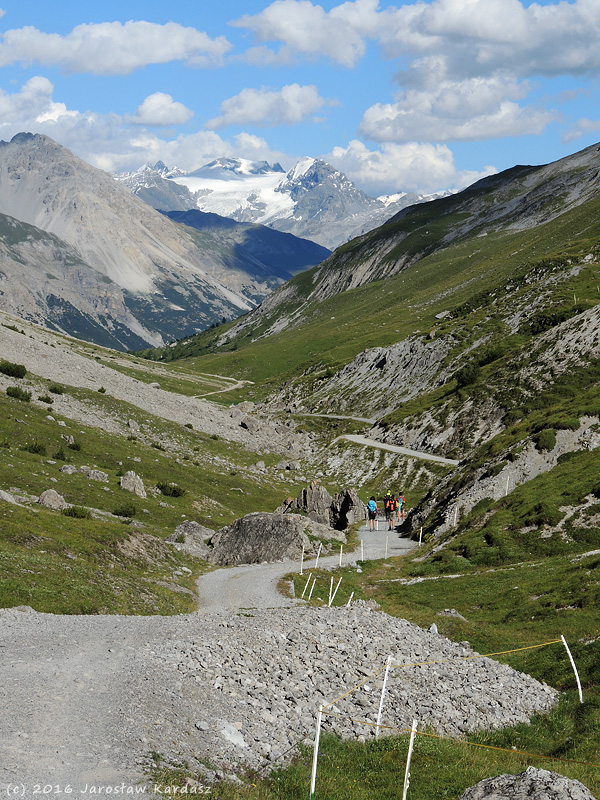 DSCN7351.jpg - Przede mną zjazd z przełęczy Passo di Alpisella (2268 m) przez dolinę Valle Alpisella. W dali widać Ortler (3905 m).
